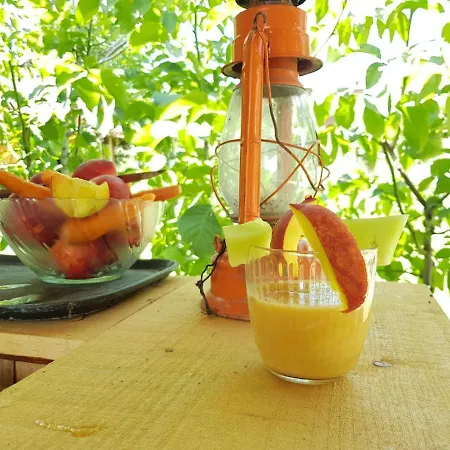 Backpacker * Elbasan