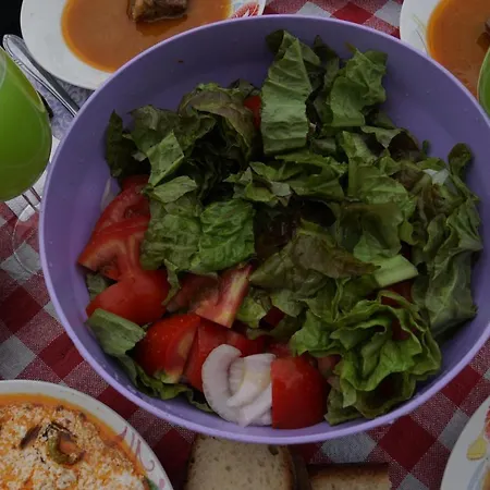 Backpacker Hostel Ελβασάν
