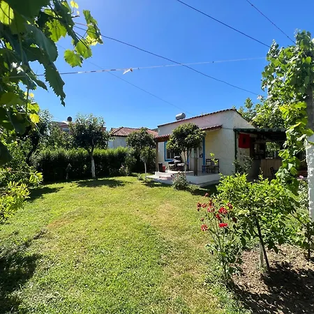 Backpacker Hostel Ελβασάν