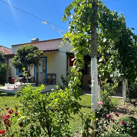 Backpacker 爱尔巴桑