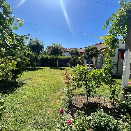 Backpacker * 爱尔巴桑