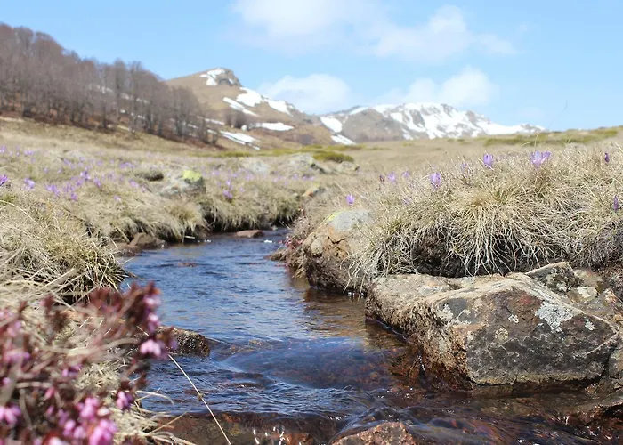 Backpacker 爱尔巴桑