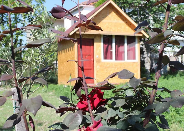 Backpacker 爱尔巴桑