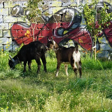 호스텔 Backpacker *