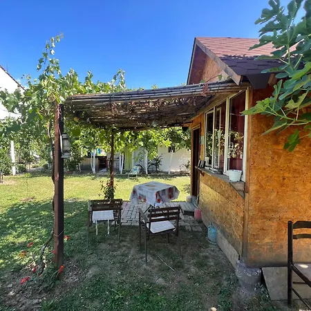 호스텔 Backpacker *