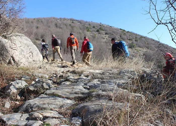 호스텔 Backpacker 엘바산