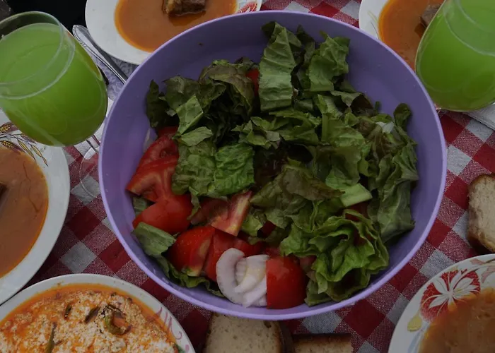 Backpacker Hostel Elbasan