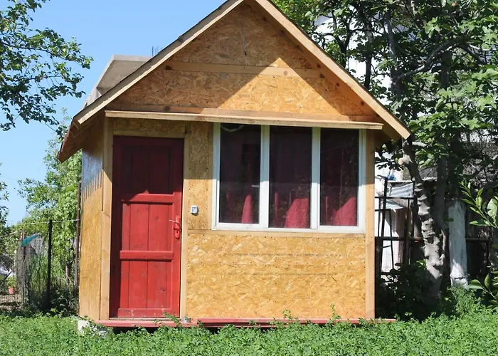 Backpacker 호스텔 *